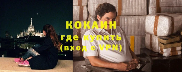 индика Лагань