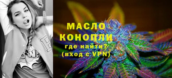 индика Лагань