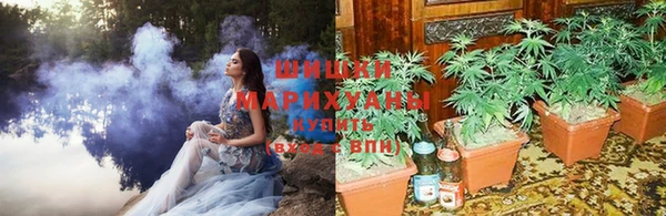 каннабис Ладушкин