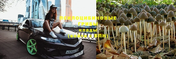 индика Лагань