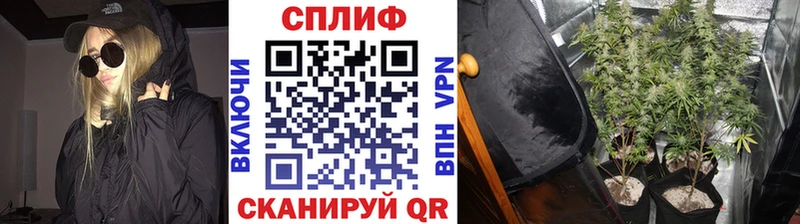 мориарти телеграм  Хилок  Конопля OG Kush 